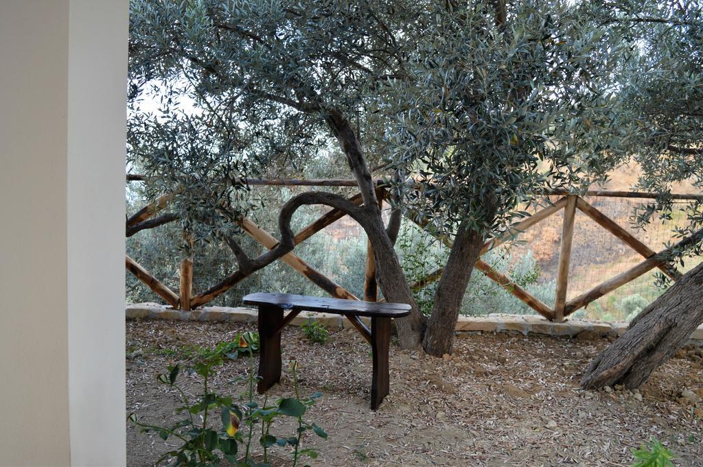 PettineoAgriturismo Pattina别墅 外观 照片